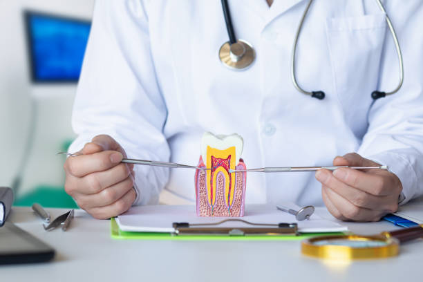 Best Emergency Treatment for Jaw Pain or Injury in Stevenson, AL